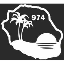 Ile de la R&eacute;union palmier