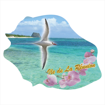 Ile de la R&eacute;union