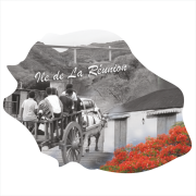 Stickers Réunion Ile numérique 4 