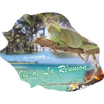 Ile de la R&eacute;union 818