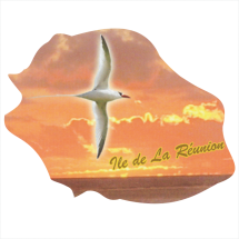 Ile de la R&eacute;union 904