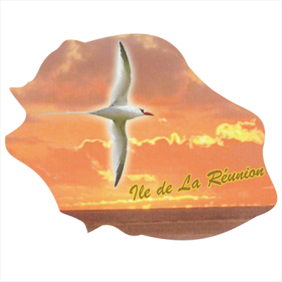 Ile de la R&eacute;union 904