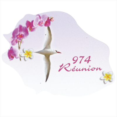 Ile de la R&eacute;union 905