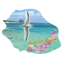 Ile de la R&eacute;union 907