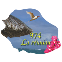 Ile de la R&eacute;union  1002