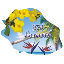 Ile de la R&eacute;union  1003