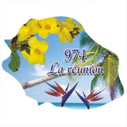 Ile de la Réunion  1003