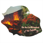 Ile de la Réunion 901