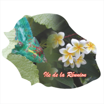 Ile de la R&eacute;union 813