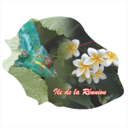Ile de la Réunion 813