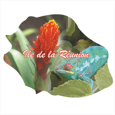 Ile de la R&eacute;union 814