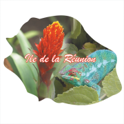 Ile de la Réunion 814