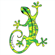 Margouillat local 909