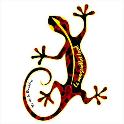 Margouillat local 1003