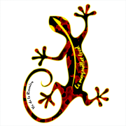 Margouillat local 910