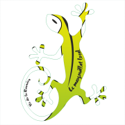 Margouillat local 904