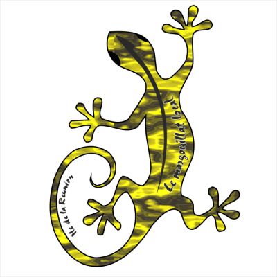 Margouillat local 911