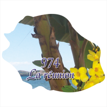 Ile de la R&eacute;union 1007