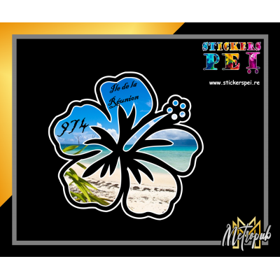 Hibiscus R&eacute;union