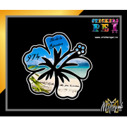 Hibiscus R&eacute;union