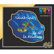 Ile de la Réunion Tortue