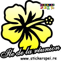 Hibiscus r&eacute;union 