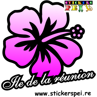 Hibiscus r&eacute;union 