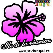 Hibiscus réunion 