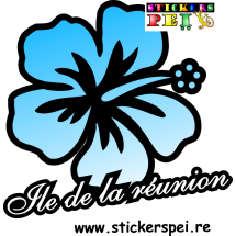 Hibiscus r&eacute;union 