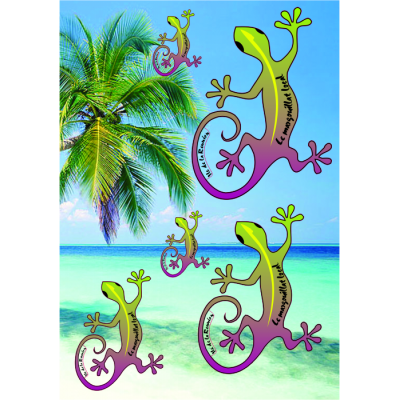 Planche de margouillat ml 901