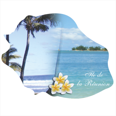 Ile de la R&eacute;union 809