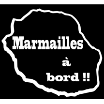 Marmailles &agrave; bord