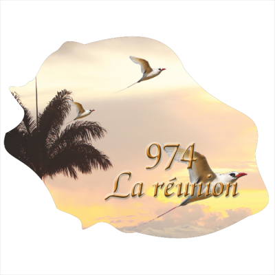 Ile de la R&eacute;union  1001