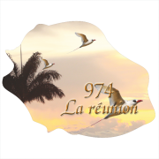 Stickers Réunion Ile numérique 4 