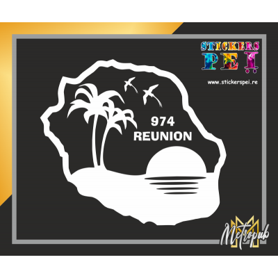 Ile palmier Paille en queue