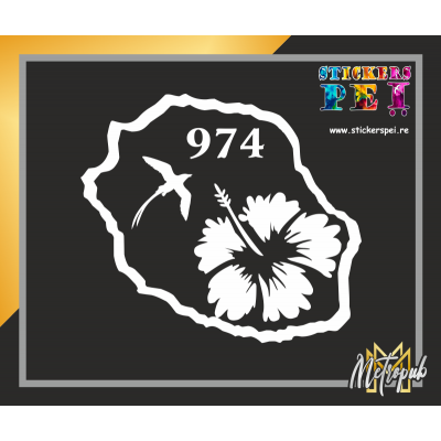 ile de la R&eacute;union hibiscus 2