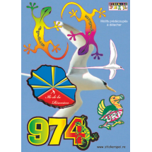 Motifs r&eacute;union