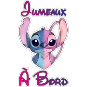  Bébé à Bord stich garçon