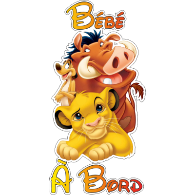 B&eacute;b&eacute; &agrave; Bord Simba