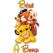 Bébé à Bord Simba