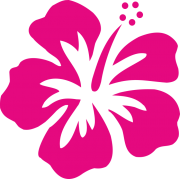 Stickers Réunion Hibiscus sur transfert