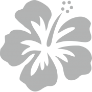 Stickers Réunion Hibiscus sur transfert