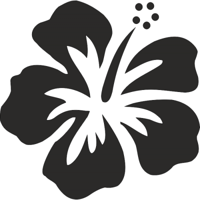 Hibiscus sur transfert