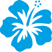 Stickers Réunion Hibiscus sur transfert